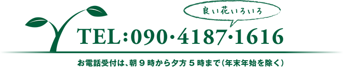 090・4187・1616 お電話受付は、朝9時から夕方5時まで（年末年始を除く）